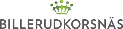 logo of billerud korsnäs